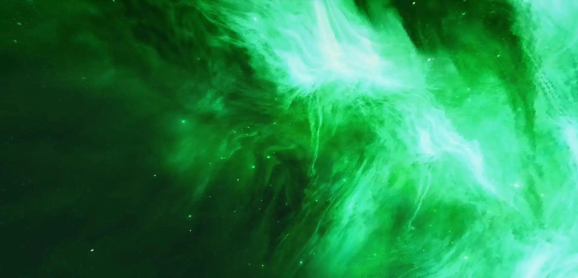 Gallery Image 4 for Elys on PVPRP