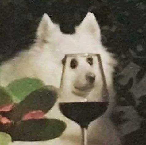 Gallery Image 1 for fish[pack] J4F on PVPRP