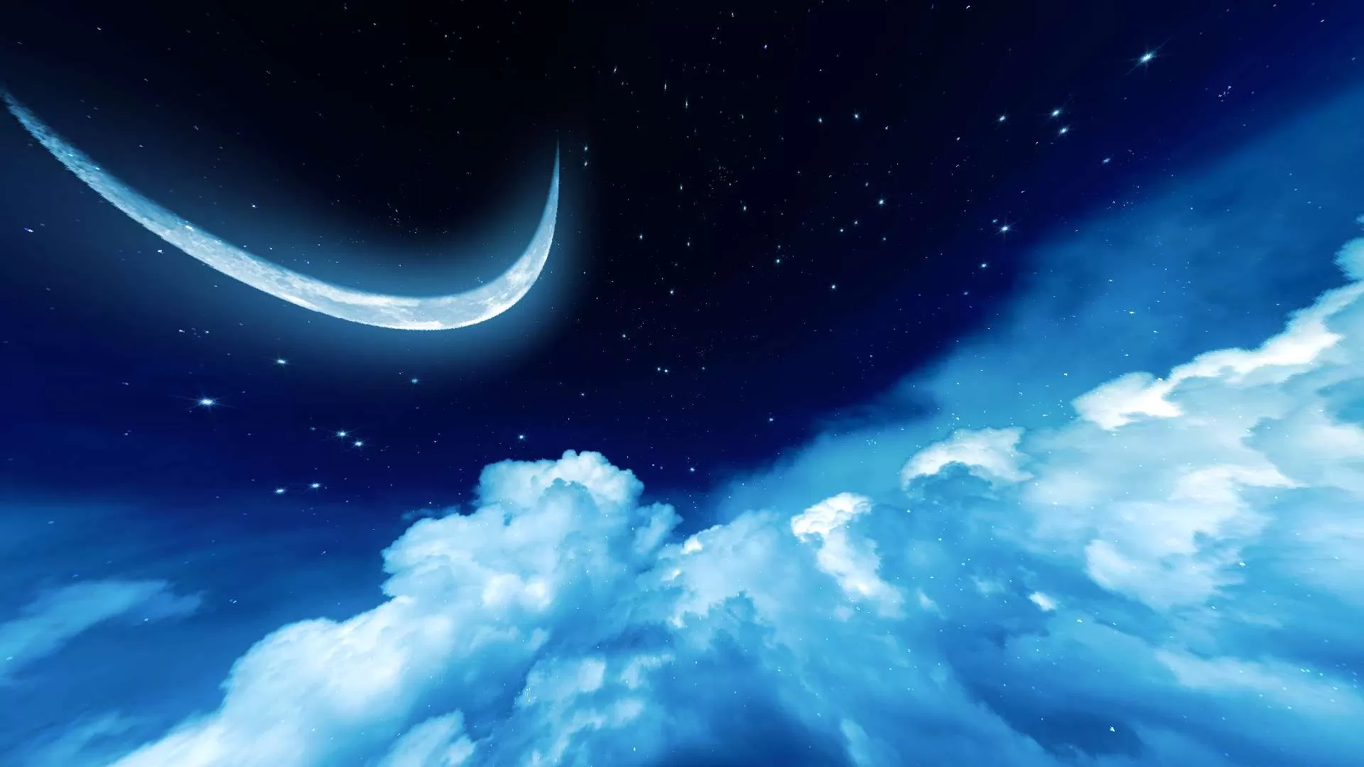 Gallery Image 7 for midnight [thin swords] on PVPRP