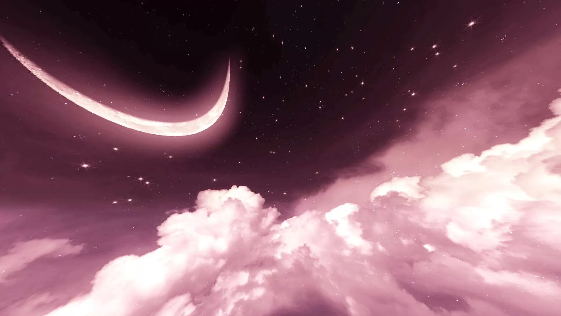 Gallery Image 7 for midnight pink [thin swords] on PVPRP