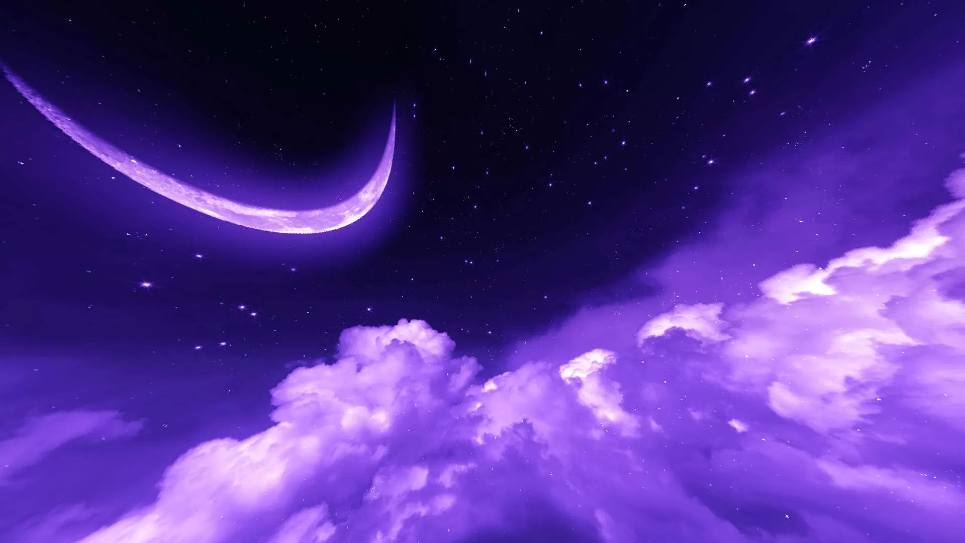 Gallery Image 7 for midnight purple [thin swords] on PVPRP