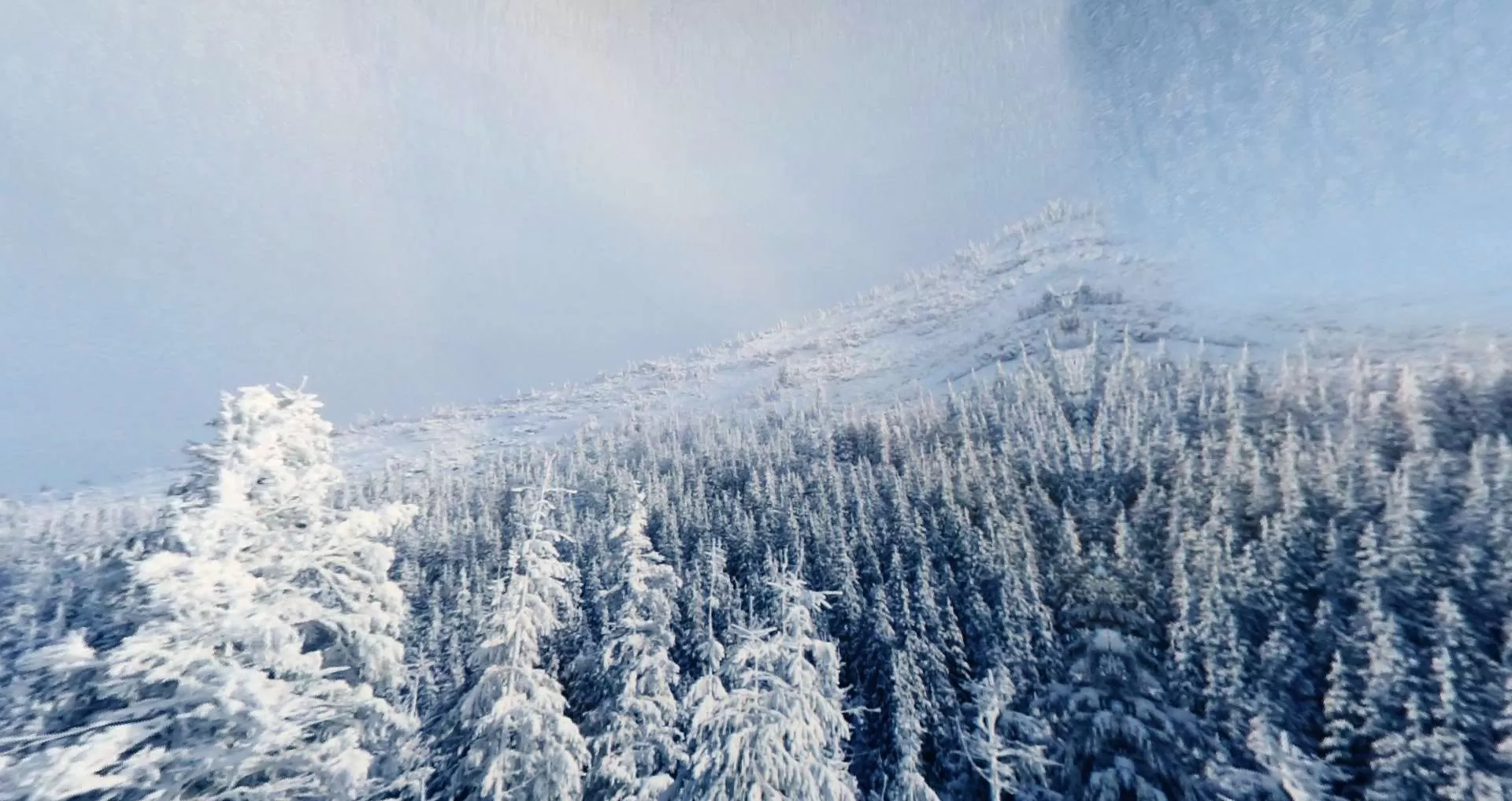 Gallery Image 5 for DeFreeze on PVPRP