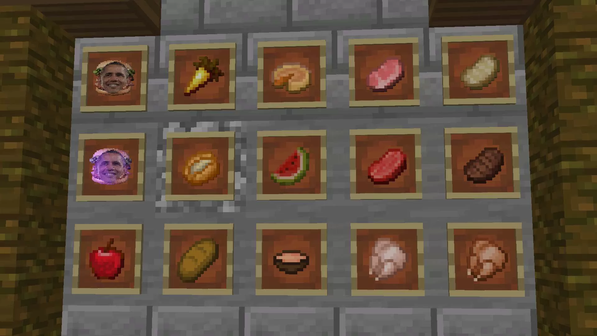 Gallery Image 5 for Obamafault on PVPRP