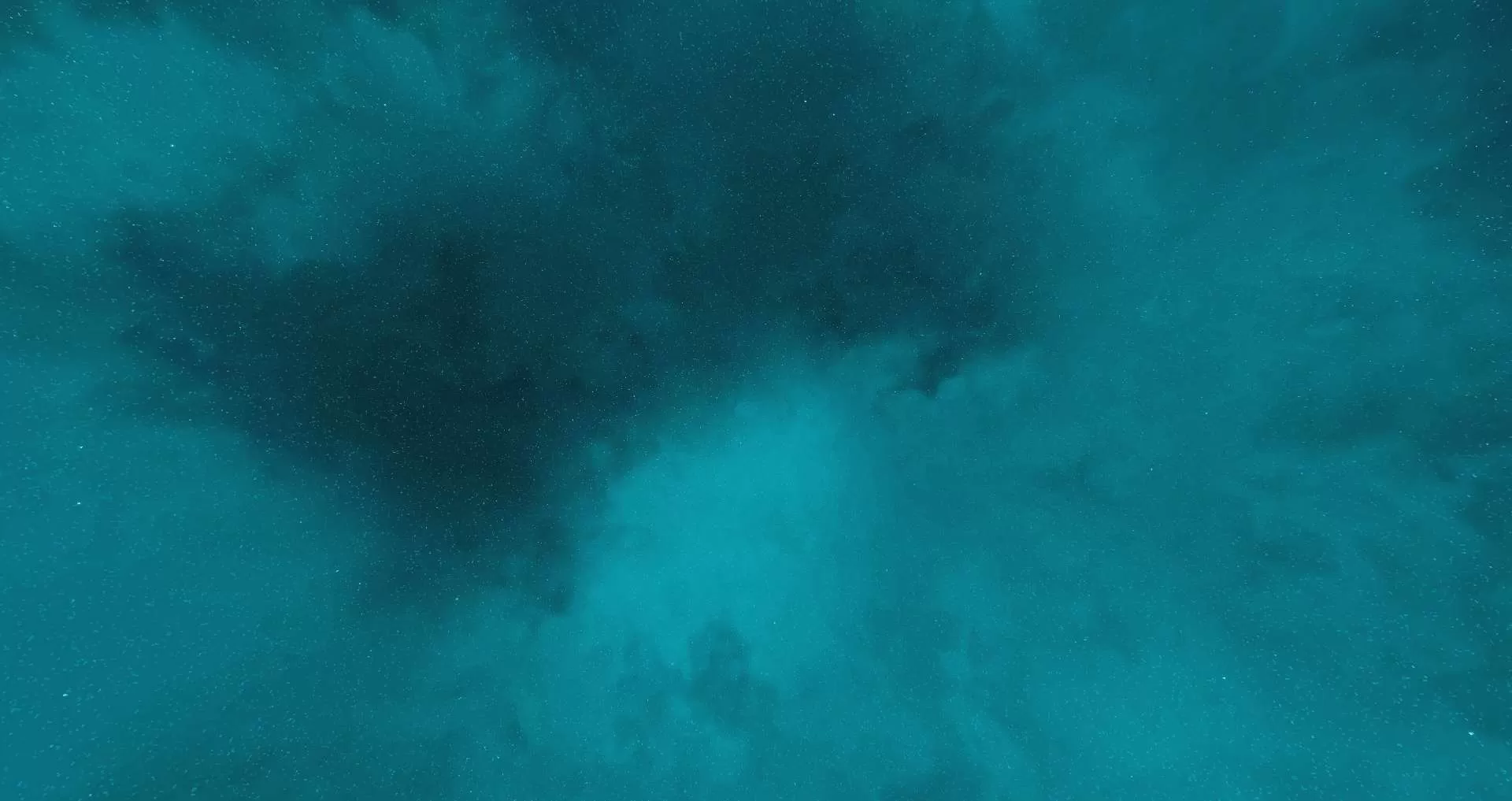 Gallery Image 7 for Iced  on PVPRP