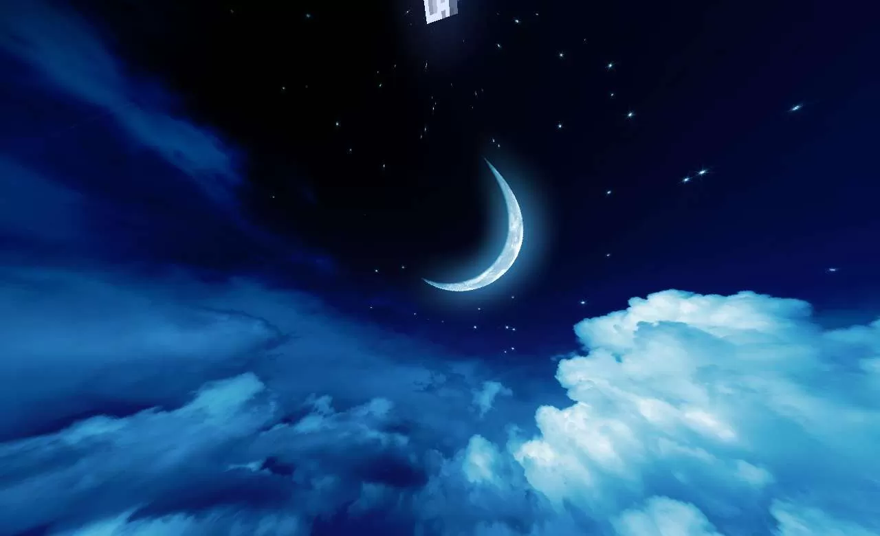 Gallery Image 3 for Strawy  on PVPRP