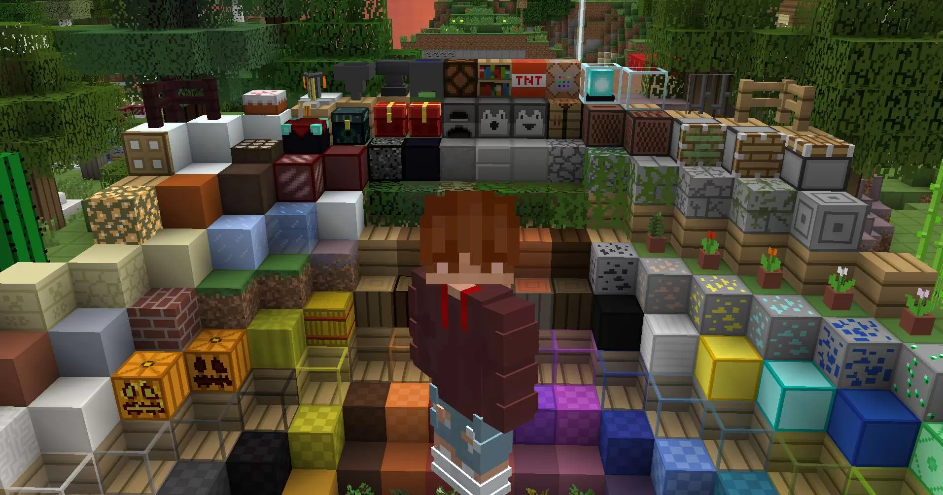 Gallery Image 2 for PolloPack 5K on PVPRP