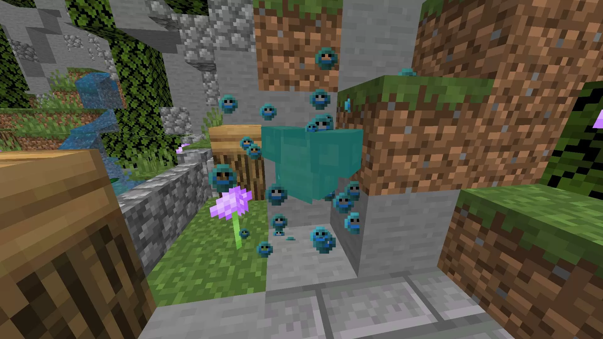 Gallery Image 2 for smile pack  on PVPRP